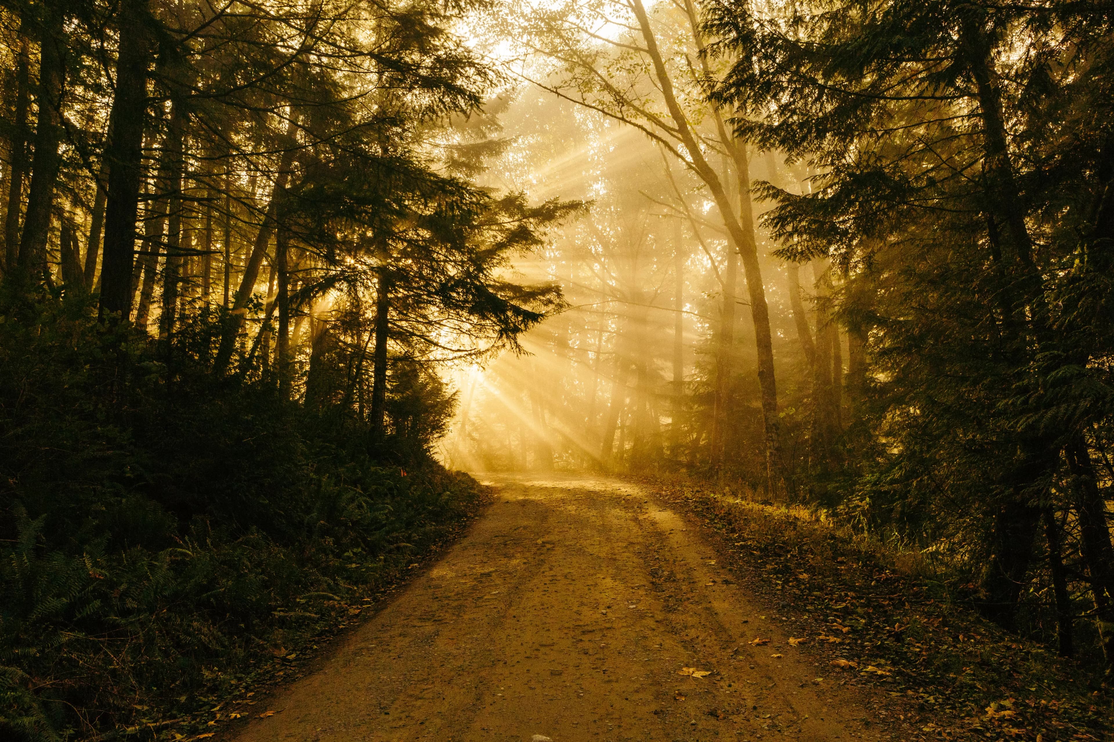 A Long Journey